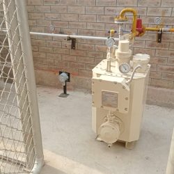 WhatsApp Image 2025-07-29 at 14.36.41